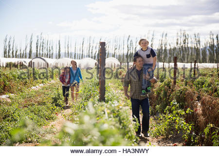 Family walking in sunny rural crop field