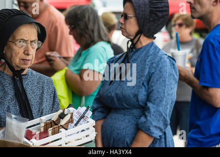 Lancaster county Hospice fund raising auction, Stock Photo