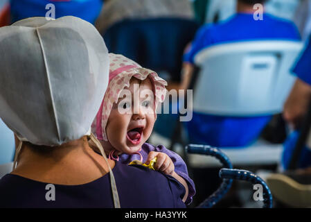 Lancaster county Hospice fund raising auction, Stock Photo