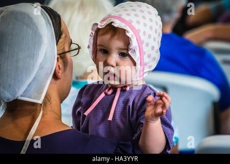 Lancaster county Hospice fund raising auction, Stock Photo