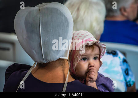 Lancaster county Hospice fund raising auction, Stock Photo