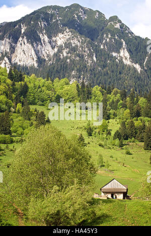 Hillside farm and mountain, Piatra Craiului National Park, Romania. Stock Photo