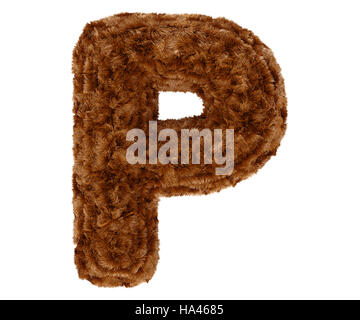 Wild animal brown bushy bear decorative fur alphabet capital letter P. 3d rendering illustration. Isolated on white background Stock Photo