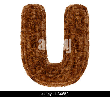 Wild animal brown bushy bear decorative fur alphabet capital letter U. 3d rendering illustration. Isolated on white background Stock Photo