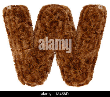 Wild animal brown bushy bear decorative fur alphabet capital letter W. 3d rendering illustration. Isolated on white background Stock Photo