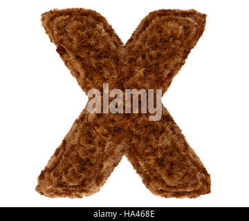 Wild animal brown bushy bear decorative fur alphabet capital letter X. 3d rendering illustration. Isolated on white background Stock Photo