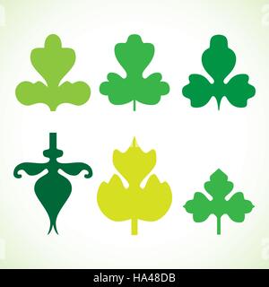 Decorative green leaves pattern set isolated on white vector. Various shapes of green leaves. Elements for eco and bio logos Stock Vector