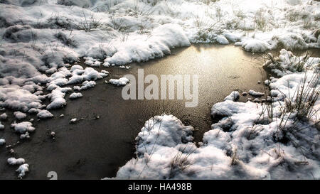 artistic picture of a frozen puddle in the forest Stock Photo
