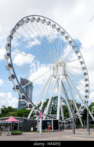 'Wheel of Brisbane' Ferris wheel, South Bank Parklands, South Bank, Brisbane, Queensland, Australia Stock Photo