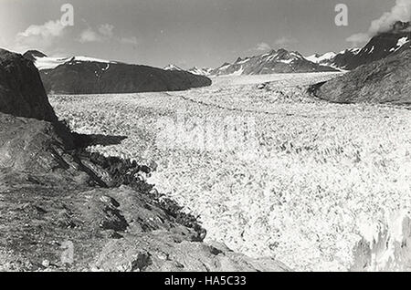 alaskanps 6808651745 Muir Glacier, 1950, Glacer Bay National Park & Preserve Stock Photo