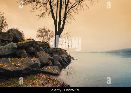 On the rocky shore of a lake in autumn in a cloudy day Stock Photo