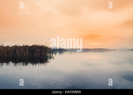 Sunrise on the quiet lake and reeds Stock Photo