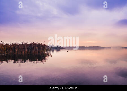 Sunrise on the quiet lake and reeds Stock Photo