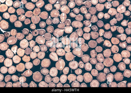 Pile of wood logs ready for winter Stock Photo