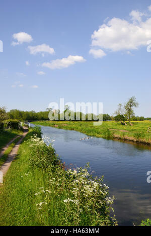 The Trent & Mersey Canal between Alrewas and Wychnor in Staffordshire where it joins the River Trent. Stock Photo