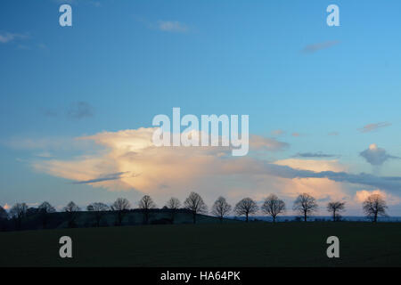 Tranquil Costwold winter line of trees silhouetted against strong blue perfect sky with clouds Stock Photo