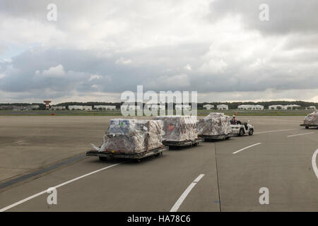 Baggage handlers, ground crew, transport baggage along the tarmac at Narita Airport, Japan. Stock Photo