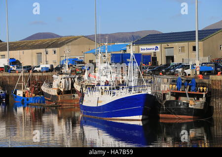 Kilkeel (from Irish: Cill Chaoil, meaning 'church of the narrow') is a small town, civil parish and townland (of 554 acres) in County Down, Northern Ireland. It lies within the historic barony of Mourne.  Kilkeel town is the main fishing port on the Down coast, and its harbour houses one of the largest fishing fleets in Ireland. It had a population of 6,887 people according to the 2011 Census. The town contains the ruins of a 14th-century church and fort, winding streets and terraced shops. Stock Photo