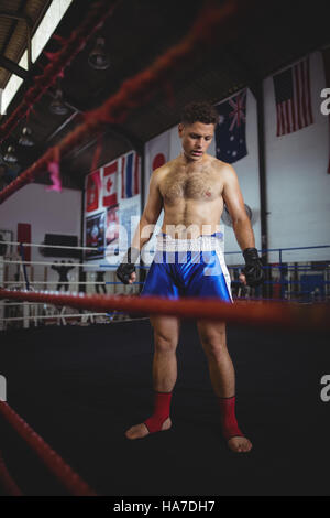 Boxer standing in boxing ring Stock Photo