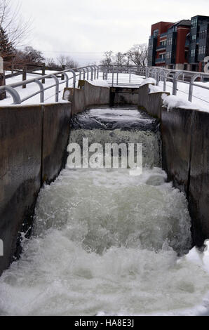 The Boardman River Fish Ladder, located in Michigan, is a vital feature ...