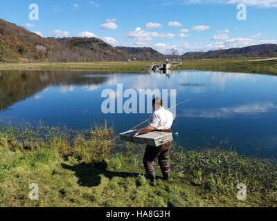 usfwsmidwest 30263502970 Preparing Hine's Emerald Dragonfly Larvae for Winter Stock Photo