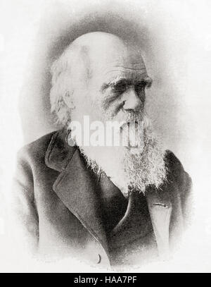 Charles Robert Darwin, 1809 – 1882. English naturalist.  From International Library of Famous Literature, published c.1900. Stock Photo