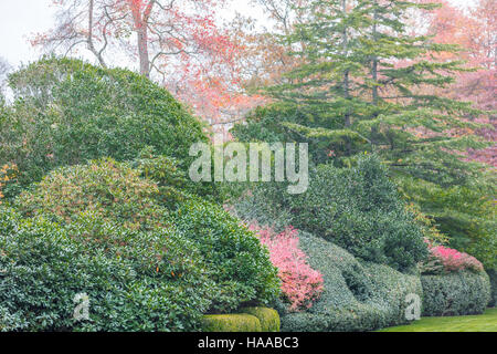 expertly cut and shaped hedges and bushes in a prized landscaped yard Stock Photo