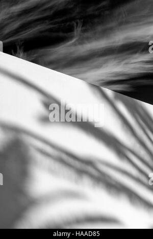 black and white image of palm tree shadows on a white wall against a dark sky with white clouds Stock Photo