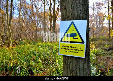 Sign on tree in woodland showing CCTV in operation Stock Photo