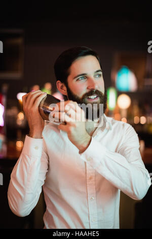 Bartender shaking the shaker at the bar Stock Photo