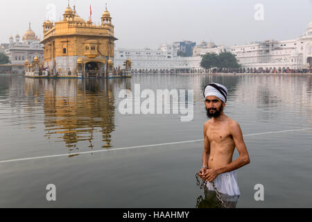 Golden Temple, Hari Mandir, a pilgrim wearing turban taking a ritual bath in the holy lake of Amritsar, Punjab, India Stock Photo