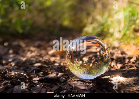 Magic crystal ball on forest floor for autumn fantasy imagery Stock Photo