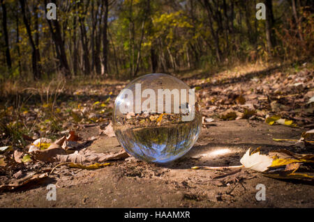 Magic crystal ball on forest floor for autumn fantasy imagery Stock Photo