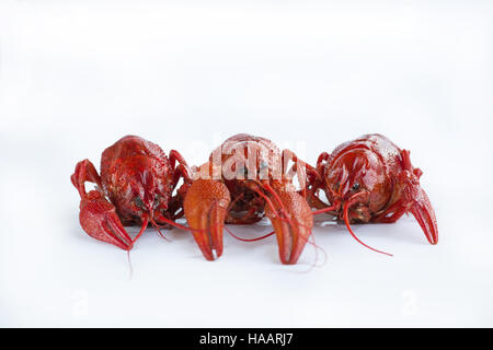 Three red boiled crayfishes with claws isolated on white background Stock Photo