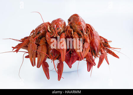 Plate of red boiled crayfishes with claws isolated on white background Stock Photo