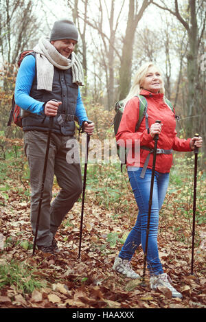 Perfect weather for hiking in the forest Stock Photo