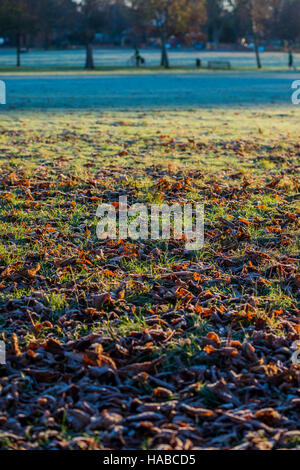 Clapham Common, London, UK. 29th November, 2016. It is a cold and frosty morning on Clapham Common. London 29 Nov 2016. Credit:  Guy Bell/Alamy Live News Stock Photo