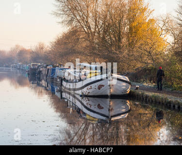 Tottenham Marshes, London, UK 29th November 2016. A walker on the towpath of the river Lee navigation has a frosty start to his day. Credit:  Patricia Phillips/ Alamy Live news Stock Photo