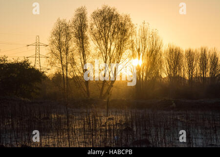 Tottenham Marshes, London, UK 29th November 2016. A frosty start to the day in Tottenham on a clear November morning. Credit:  Patricia Phillips/ Alamy Live news Stock Photo