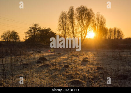 Tottenham Marshes, London, UK 29th November 2016. A frosty start to the day in Tottenham on a clear November morning. Credit:  Patricia Phillips/ Alamy Live news Stock Photo