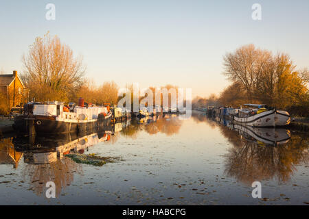 Tottenham Marshes, London, UK 29th November 2016. All is still on the river Lee Navigation during a  frosty start to the day in Tottenham. Credit:  Patricia Phillips/ Alamy Live news Stock Photo