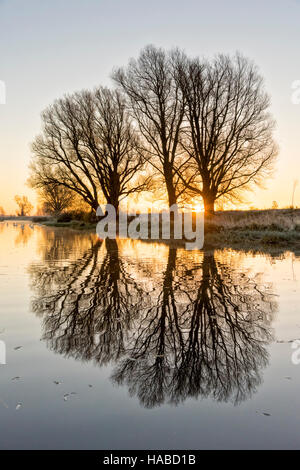 Willingham, Cambridgeshire, UK. 29th November 2016. Dawn on the Old West River in the flat landscape of the Cambridgeshire Fens where temperatures fell overnight to minus 4 degrees centigrade on one of the coldest nights of the winter so far this year. Further freezing conditions are forecast for the next few days. Credit Julian Eales/Alamy Live News Stock Photo