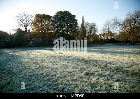 London, UK. 29th Nov, 2016. Brockwell Park, South London, 8.30 in the morning, freezing temperature Credit:  fotographic.eu/Alamy Live News Stock Photo