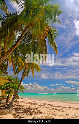 Worthing Beach at Worthing, between St. Lawrence Gap and Bridgetown, Barbados, Caribbean. Stock Photo