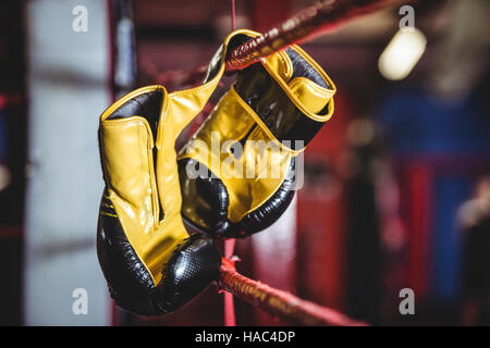 Yellow boxing gloves hanging off the boxing ring Stock Photo