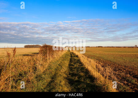 A grassy country footpath with arable fields and hawthorn hedgerows in the scenic Yorkshire wolds landscape in autumn.