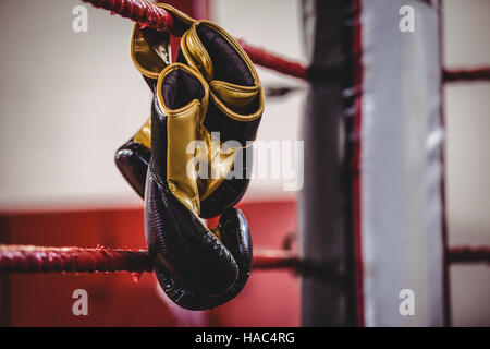 Yellow boxing gloves hanging off the boxing ring Stock Photo