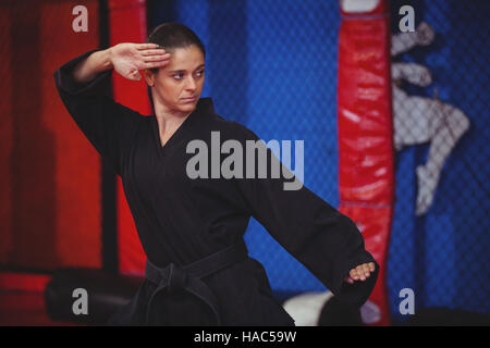 Female karate player performing karate stance Stock Photo