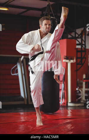 Karate player performing karate stance Stock Photo