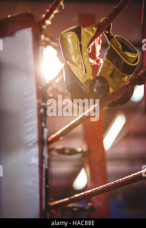 Yellow boxing gloves hanging off the boxing ring Stock Photo